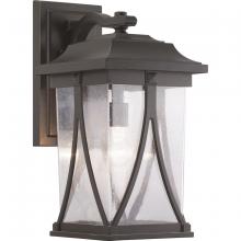 Progress P560115-020 - Abbott Collection One-Light Large Wall Lantern