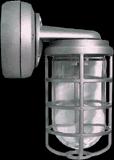 Vaporproof, 2400 lumens, Vaporfroom, CFL Bracket 32W Qt 1/2 inch, with Glass globe, cast guard