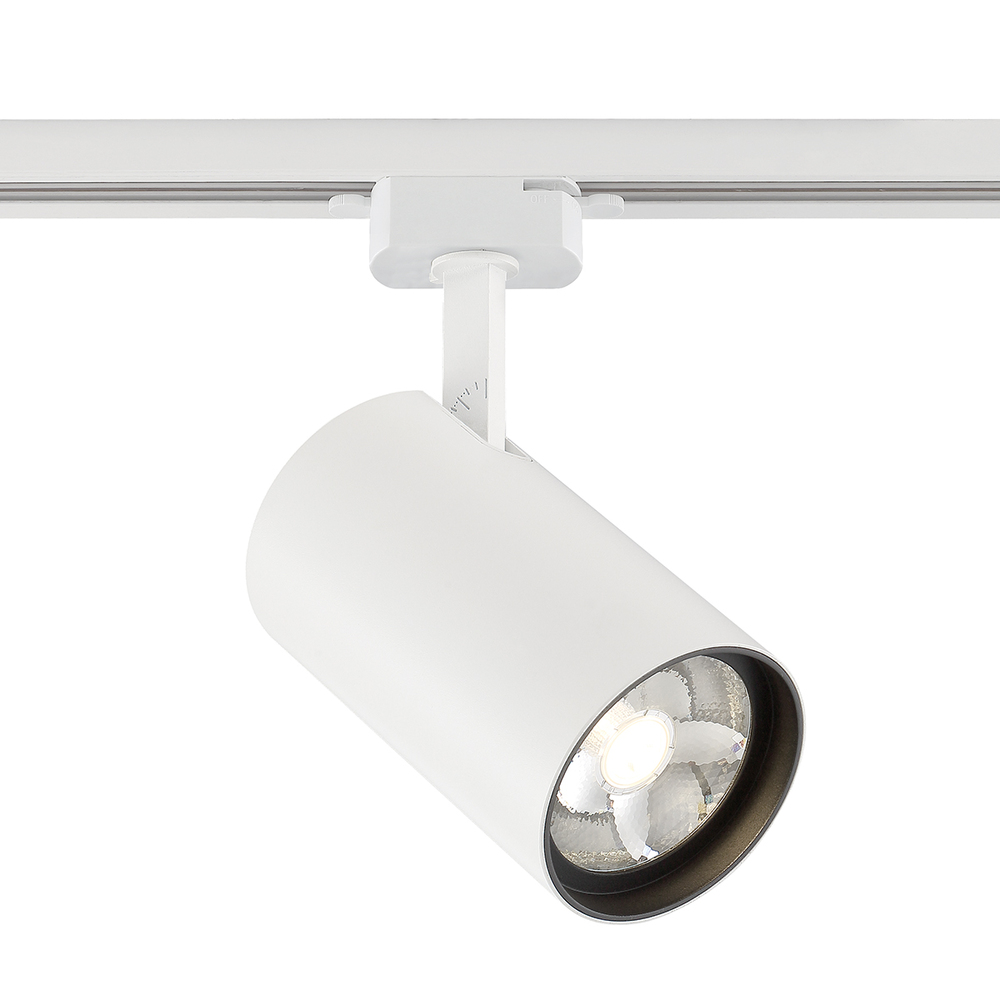 CHARLIE,TRK HEAD,LED,30W,30K,W