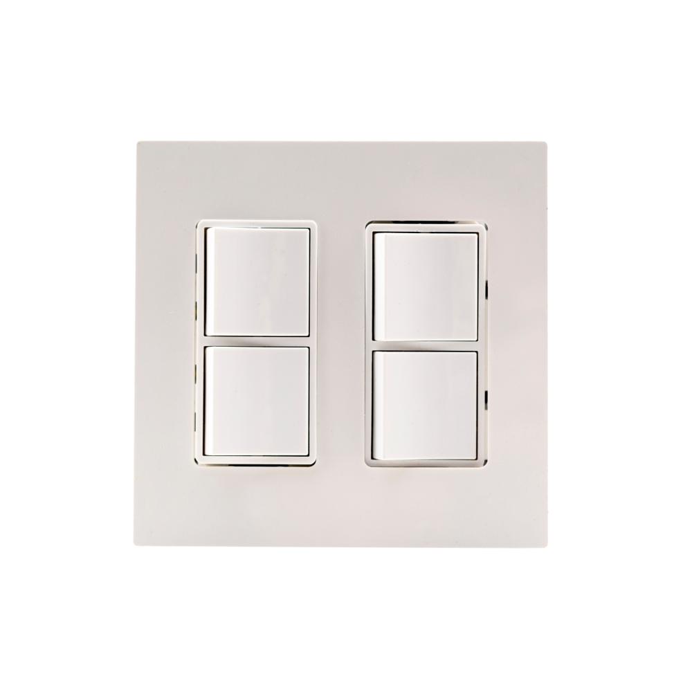 DUAL DUPLEX,PLATE AND BOX,SS