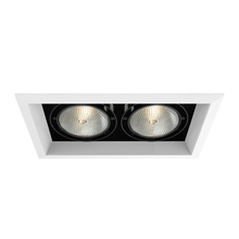 Eurofase TE132-02 - MULT,PAR30,TRM,2LT,75W,WH/BLK
