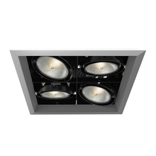 Eurofase TE134B-0N - MULT,PAR30,TRM,4LT,SQ,PT/BLK